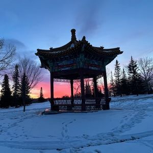 Meet your Posher, Betty